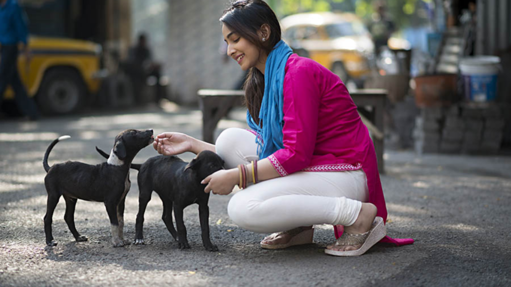 A girl caring for a stray dog under Human Capital Exponential