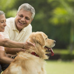 Dog living with a family under Human Capital Exponential Program