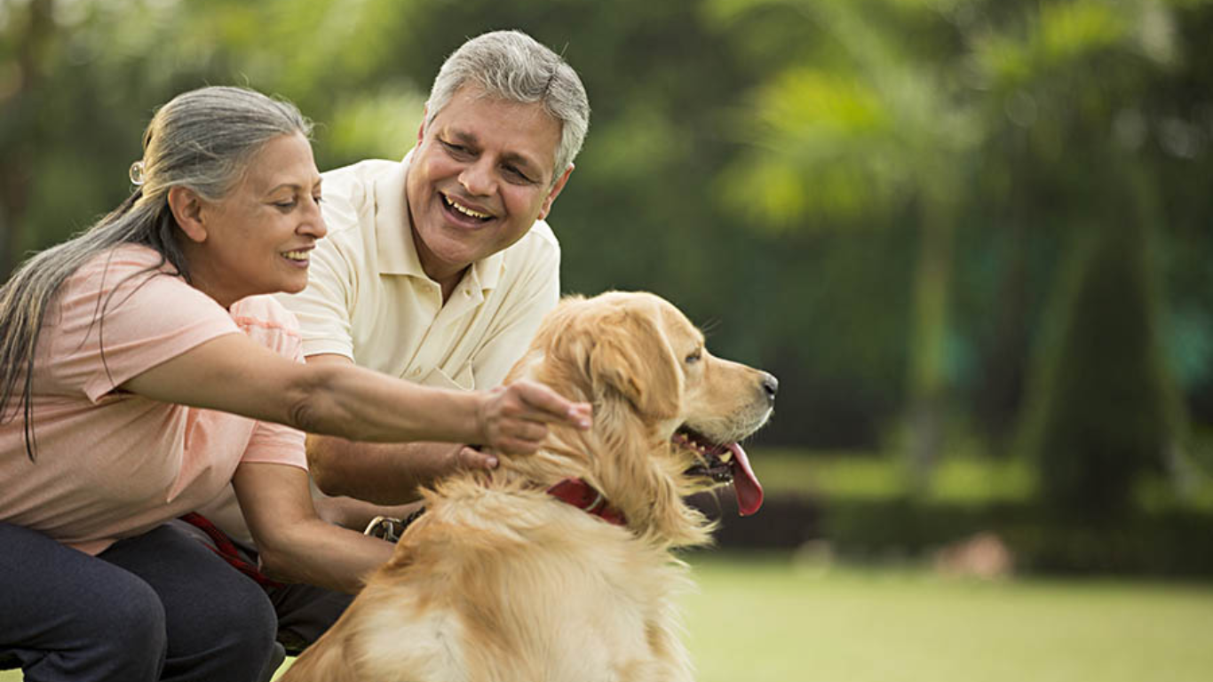 Dog living with a family under Human Capital Exponential Program